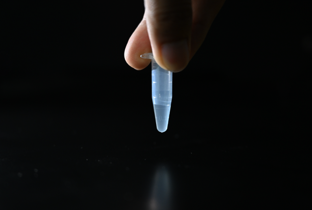 中國科學(xué)院天津工業(yè)生物技術(shù)研究所の実験室で撮影された人工合成されたヘキソース溶液サンプル（8月13日撮影）。撮影?孫凡越