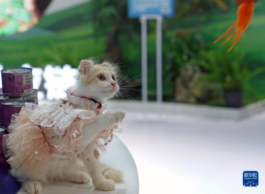 第25回ペットフェアアジアが上海で開(kāi)幕