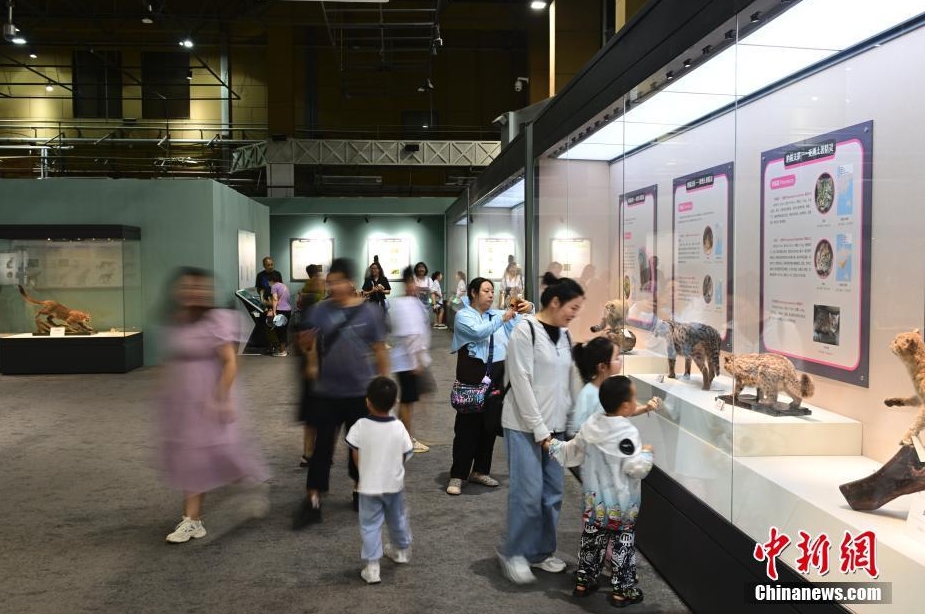 「貓の起源-ネコ科動物の進化」展が國家自然博物館で開幕　北京
