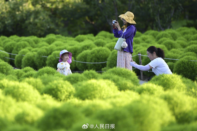 鮮やかな緑が美しい北京オリンピック森林公園