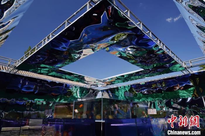 恭王府博物館で開催中の2023年宮廷金魚特別展「府苑攬趣」の様子（寫真提供?恭王府博物館）。