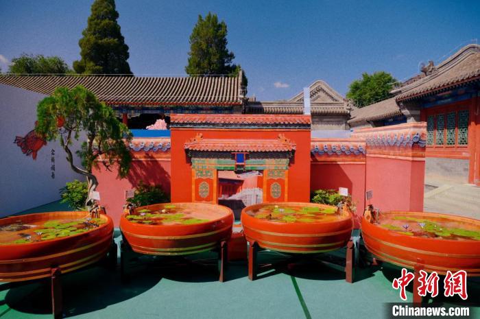 北京の恭王府に金魚を見に行こう！