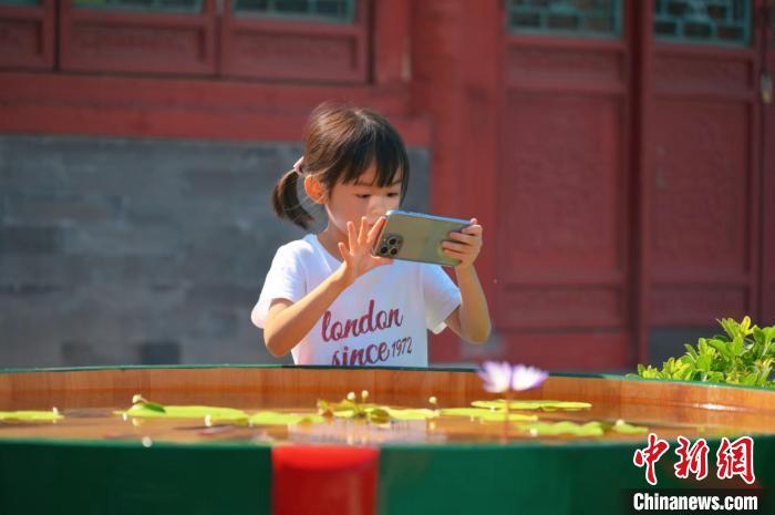 北京の恭王府に金魚を見に行こう！