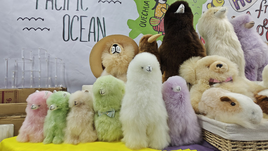 キュートな「動物」にも會える？　中國國際サービス貿(mào)易交易會