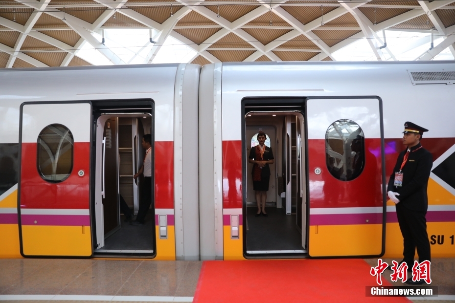 中國?インドネシア協(xié)力プロジェクト「ヤワン高速鉄道」