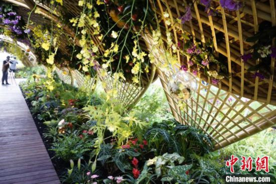 アジアの特色あふれる花卉が両側(cè)を飾るパーク內(nèi)の「友誼花廊」（撮影?王題題）。