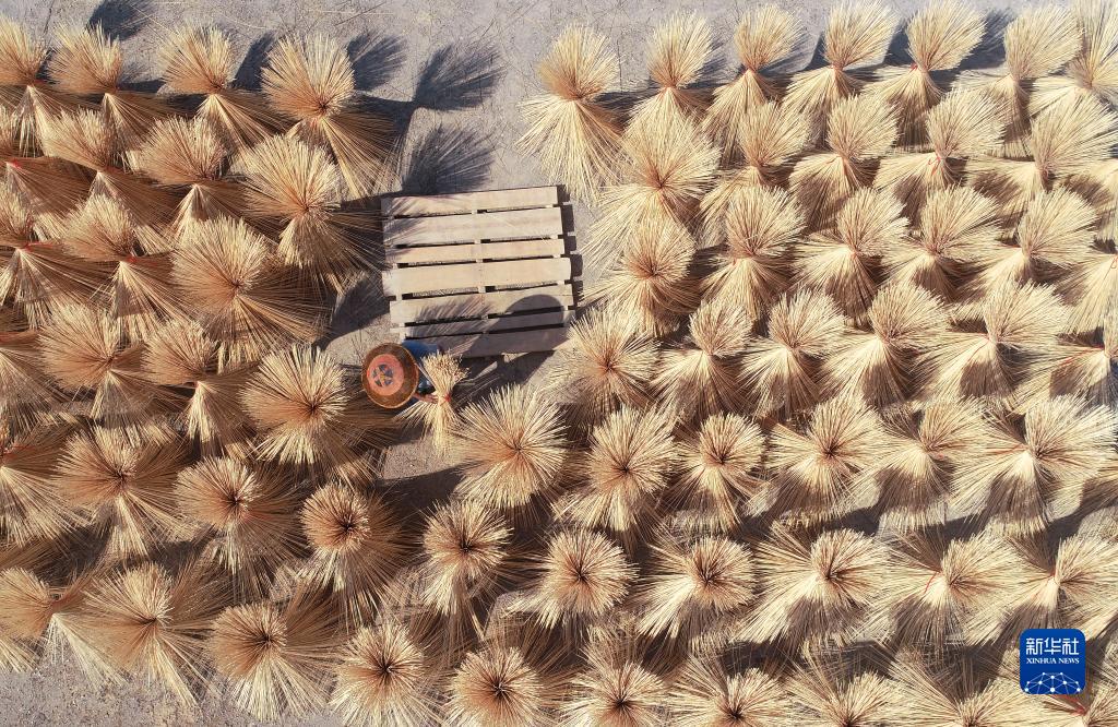 農民の所得増をけん引する竹産業(yè)　湖南省雙峰