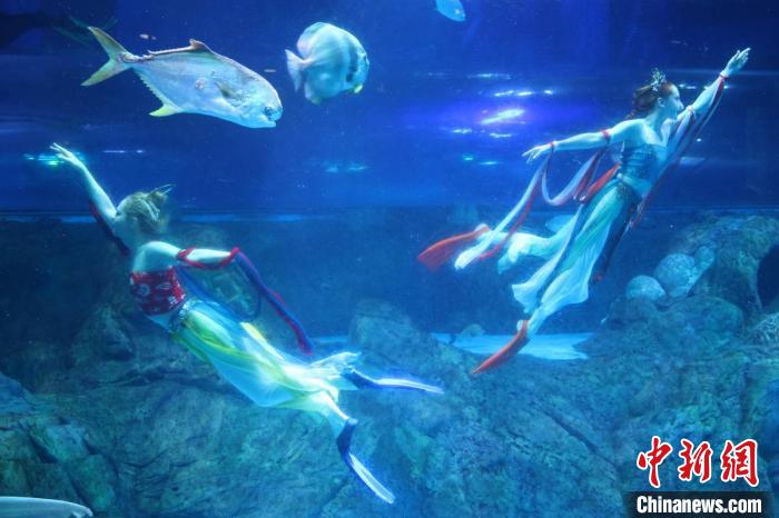 南京海底世界でパフォーマンス「飛天水舞」を初公開(kāi)　江蘇省