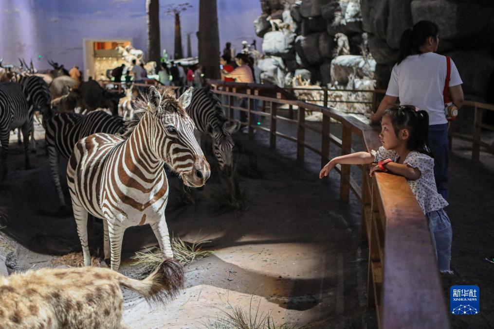 70の文化観光機関が入場券半額を?qū)g施　上海観光フェスティバル