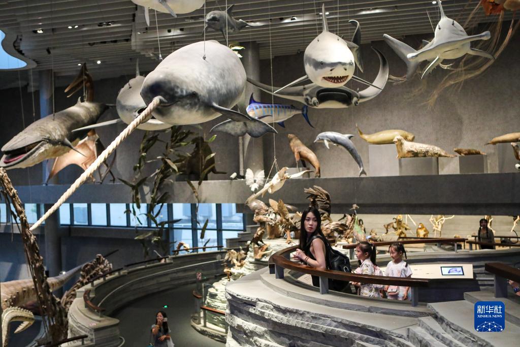 70の文化観光機関が入場券半額を?qū)g施　上海観光フェスティバル