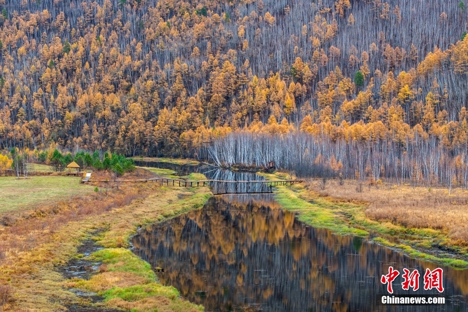 幻想的な秋の景色が広がる黒竜江省漠河県の山水畫廊景勝地