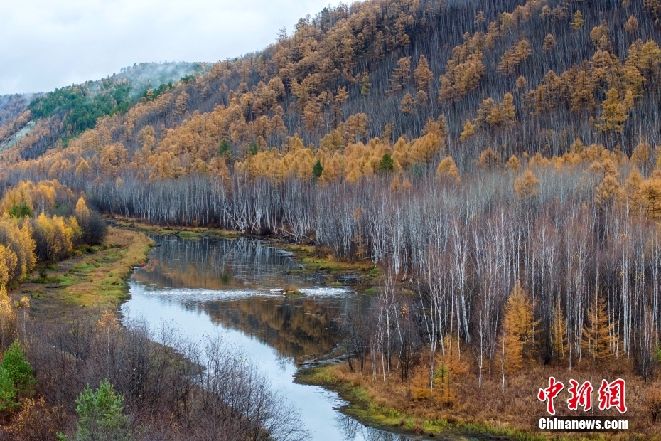 幻想的な秋の景色が広がる黒竜江省漠河県の山水畫廊景勝地