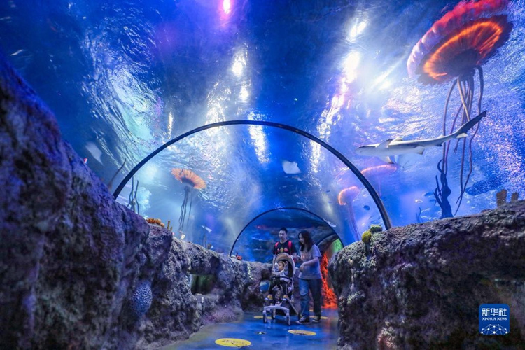 中秋節(jié)?國慶節(jié)の連休を楽しむ人々