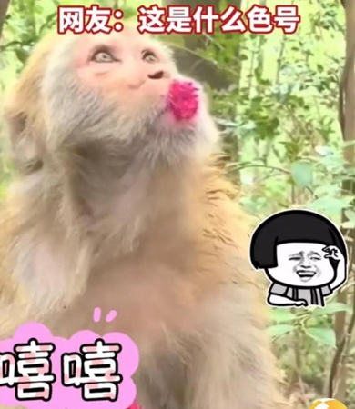 春の新色ルージュはコレに決まり？