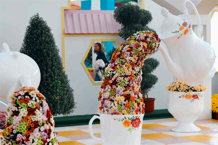 2400多種類以上のキクの花を展示　江蘇省南京市江寧區(qū)