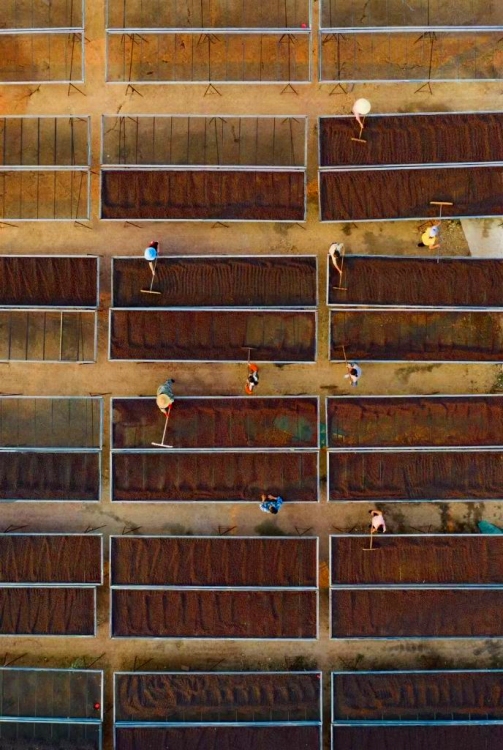 普洱市思茅區(qū)のある企業(yè)でコーヒーを天日干しする作業(yè)員（寫真提供?思茅區(qū)黨委員會(huì)宣伝部）。