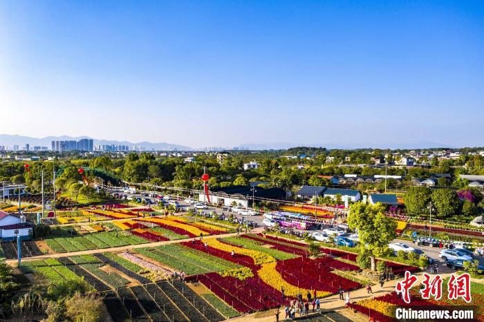 南方花卉苗木交易會(huì)が開(kāi)幕し、カラフルに彩られた桂林　広西