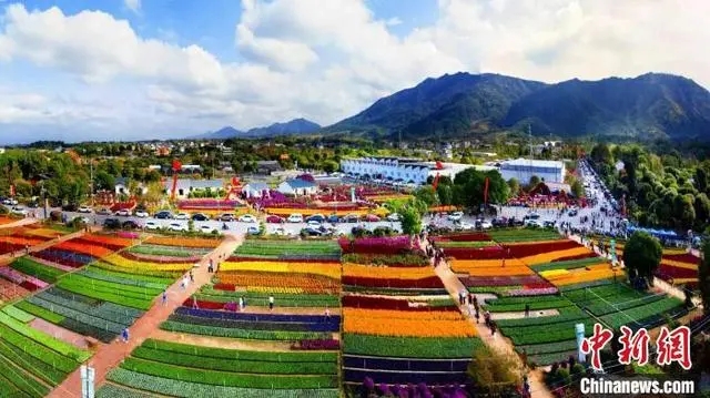 南方花卉苗木交易會(huì)が開(kāi)幕し、カラフルに彩られた桂林　広西