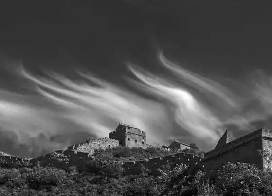 村民の段久軍さんが撮影した「中國竜」（寫真提供?段さん本人）。