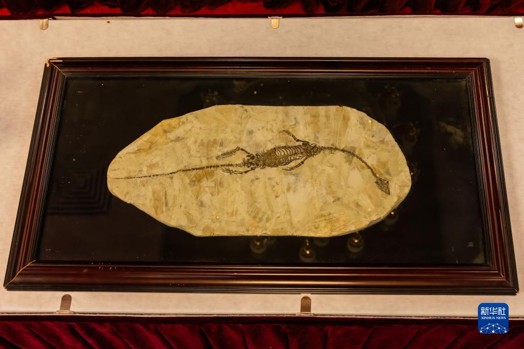 オーストラリア、流出文化財蕓術(shù)品と古生物化石を中國に返還