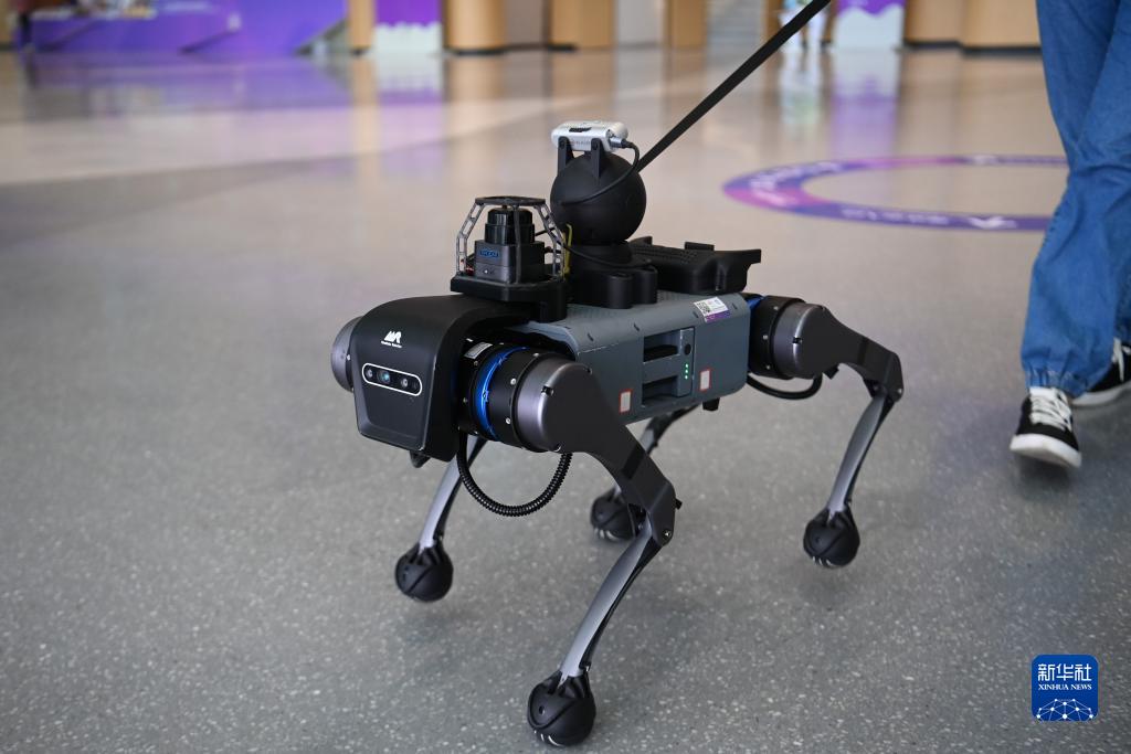 アジアパラ競技大會(huì)に「盲導(dǎo)犬ロボット」が登場　浙江省杭州