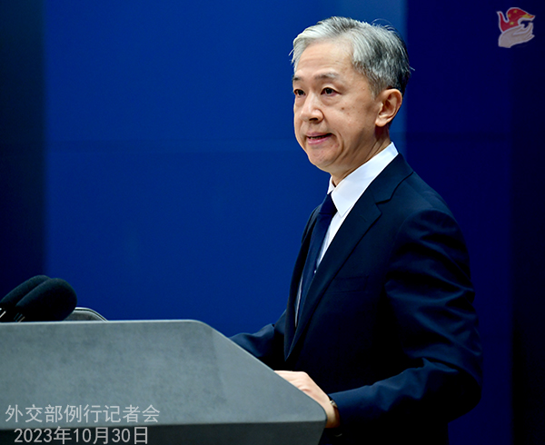 中國(guó)、パレスチナ?イスラエル情勢(shì)に関する國(guó)連総會(huì)決議の全面的履行を希望