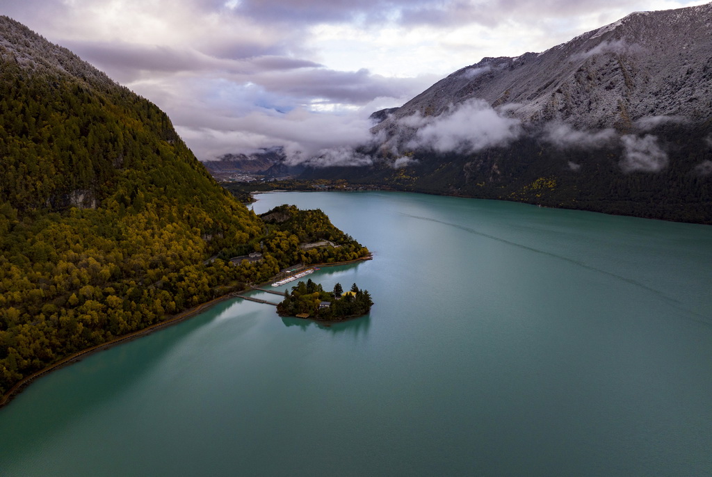 林芝の色づく木々を白く染める薄雪　西蔵