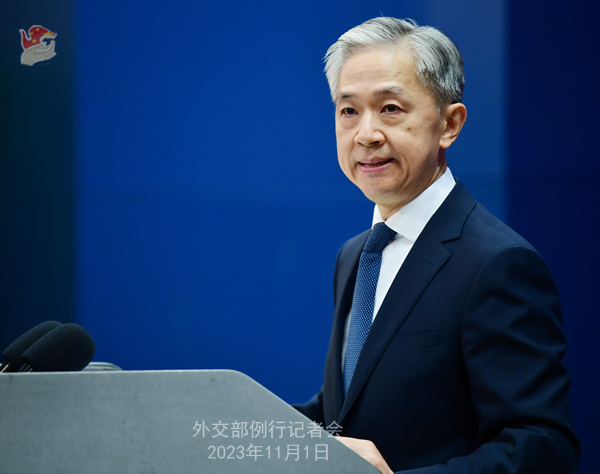 パレスチナ?イスラエル情勢(shì)の緩和に向けた中國(guó)の取り組みを外交部報(bào)道官が説明