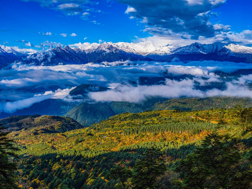 神秘的な美しさ放つ王崗坪の雲(yún)?！∷拇ㄊ?></a></td></tr><tr><td class=