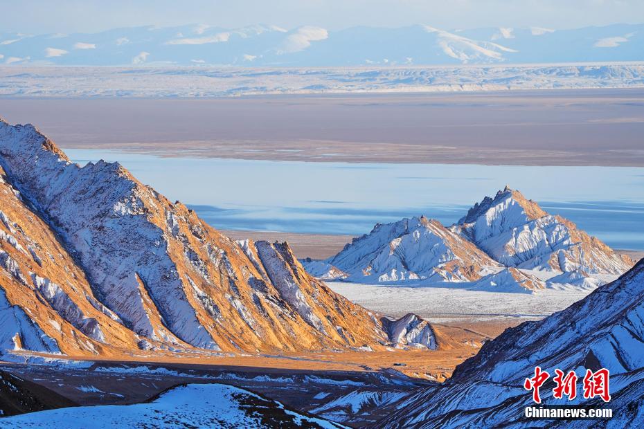 希少野生動(dòng)物がエサを求めて自由に走り回る阿爾金山　新疆