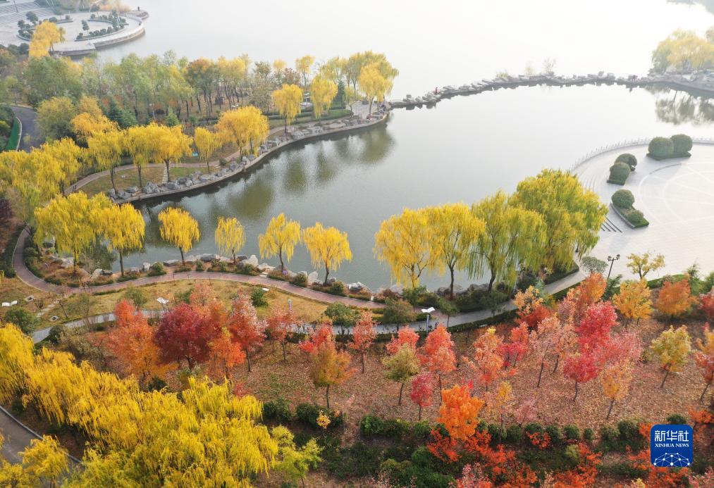 カラフルで美しい中國(guó)各地の初冬の景色