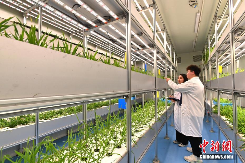 栽培段數(shù)が世界で最多の自動化垂直植物工場を訪ねて　四川省成都