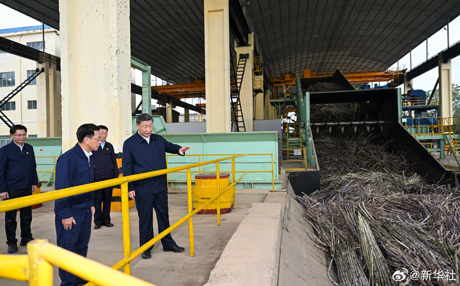 習(xí)近平総書記が広西?來賓市を視察