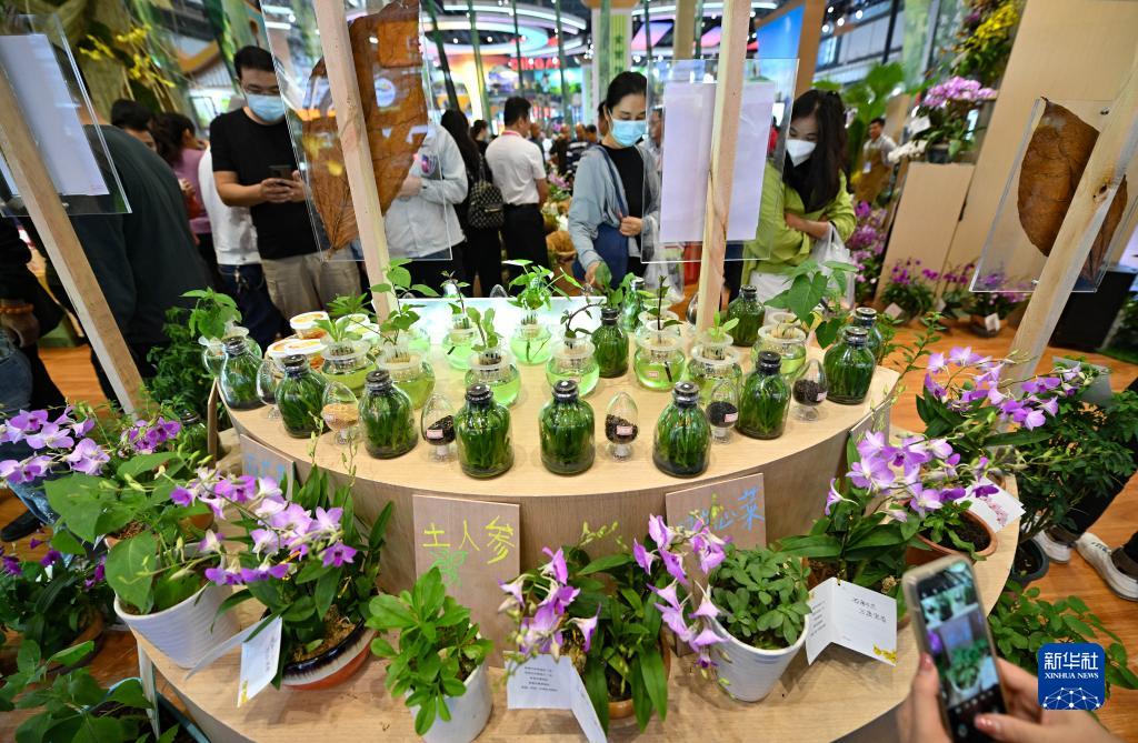 第26回海南國(guó)際熱帯農(nóng)産物冬季交易會(huì)が開幕