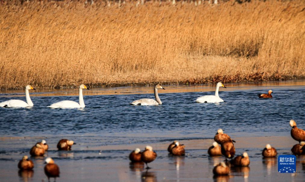 中國各地の思わず息を吞む冬景色