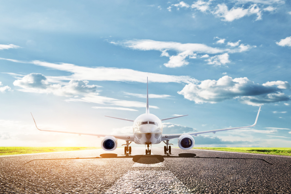 資料寫(xiě)真（畫(huà)像著作権は東方ICが所有のため転載禁止）。