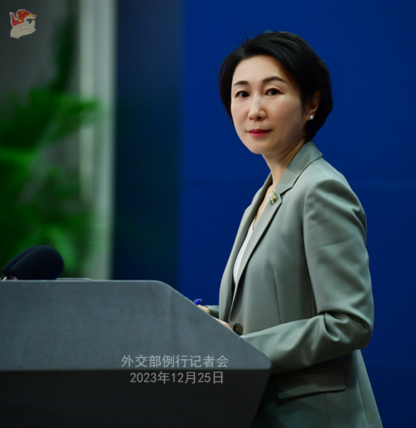 外交部「春節(jié)は中國のものであり、世界のものでもある」