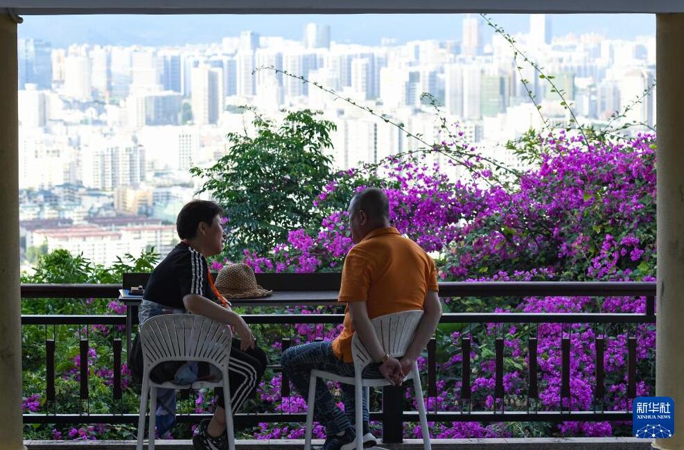 海南省三亜市、冬の観光市場が活況