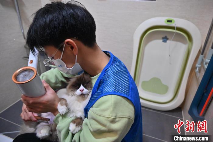 自宅でSPAを楽しむ！需要高まる「出張貓シャンプー」サービス　広西