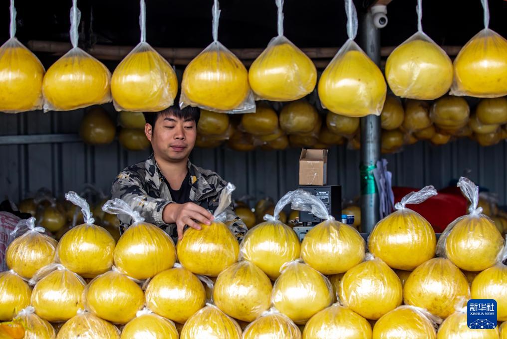 中歐班列で輸出される中國山村の果物　貴州省岑鞏