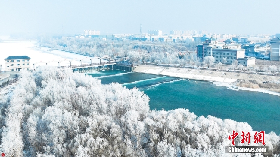 冬季限定の美しさ！博湖の霧氷　新疆