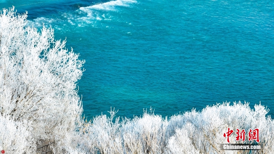 冬季限定の美しさ！博湖の霧氷　新疆