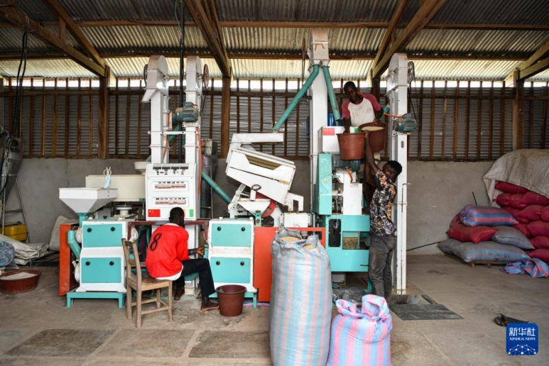 30年にわたる中國の稲作技術(shù)支援　コートジボワールの人々に恩恵