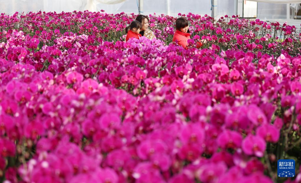 春節(jié)を歓迎するムード高まる中國(guó)