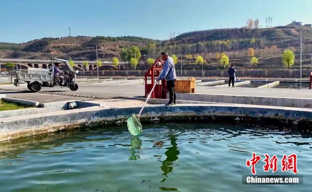 サーモン養(yǎng)殖場(chǎng)の養(yǎng)魚(yú)池。畫像提供は沁水県メディアコンバージェンスセンター