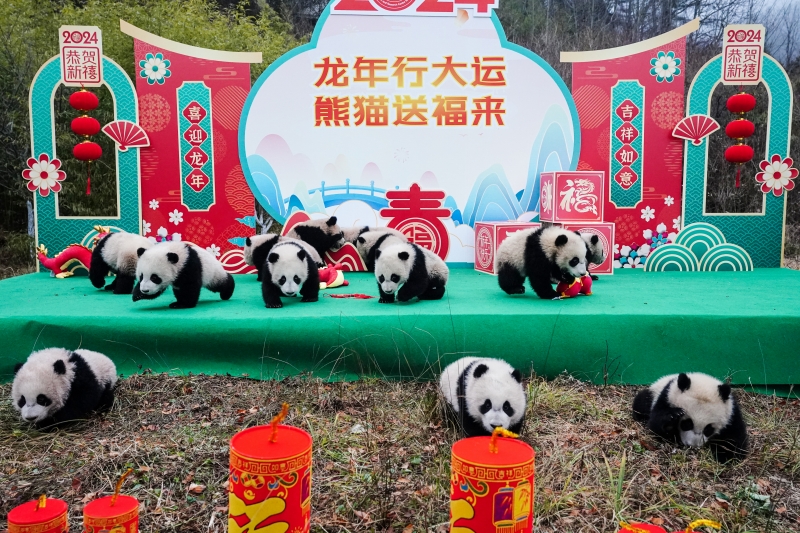 （畫(huà)像著作権は東方ICが所有のため転載禁止） 