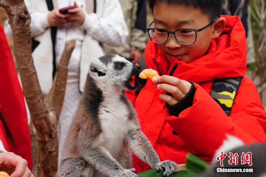 春節(jié)特別メニューを味わう動(dòng)物たち　雲(yún)南省昆明