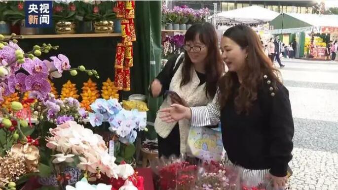 飾り提燈や年越し用品市場が春節(jié)ムード盛り上げる澳門特區(qū)