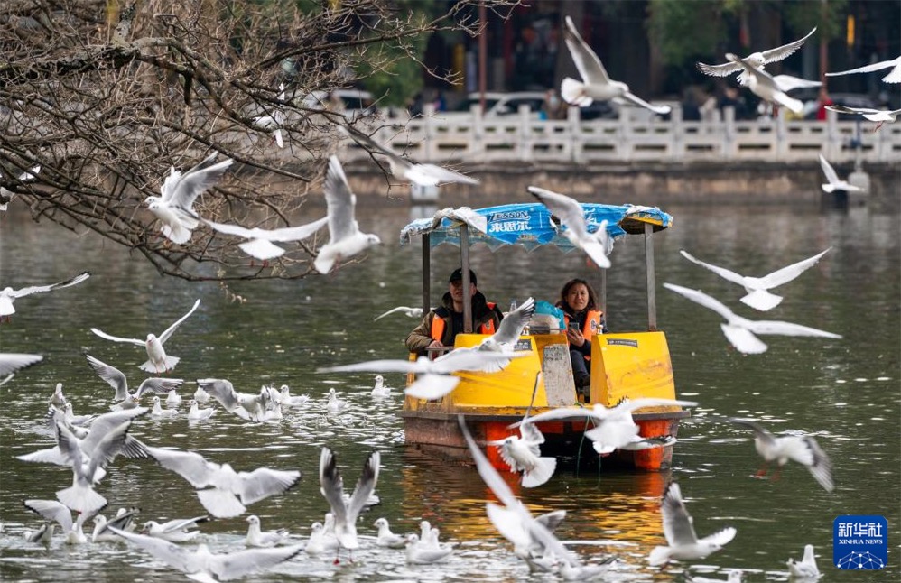多彩な活動(dòng)で春節(jié)をお祝い