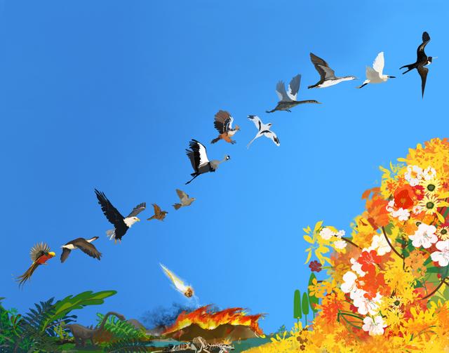 畫像提供は中國科學院古脊椎動物?古人類研究所